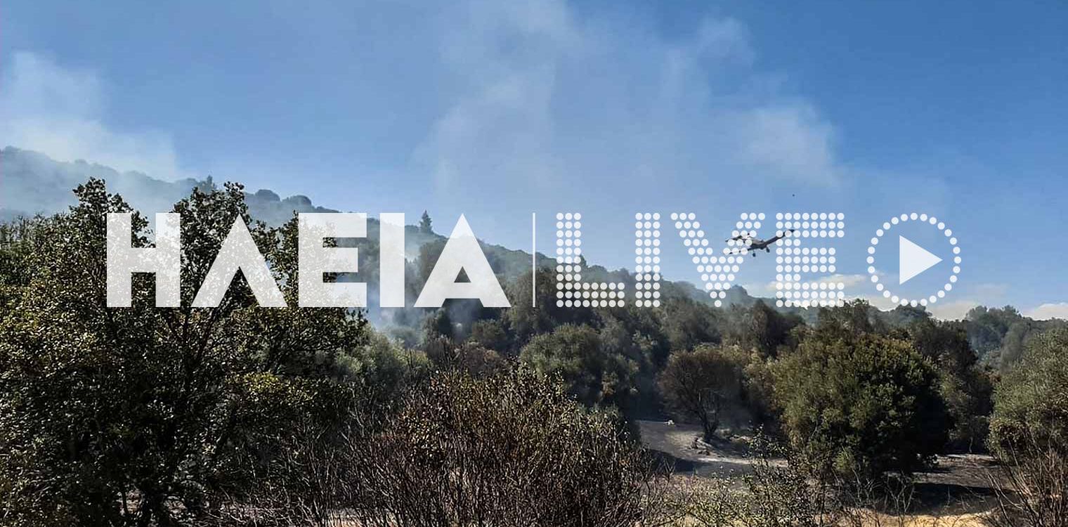 Αγ. Τριάδα Λασιώνας: Πυρκαγιά σε δασική έκταση