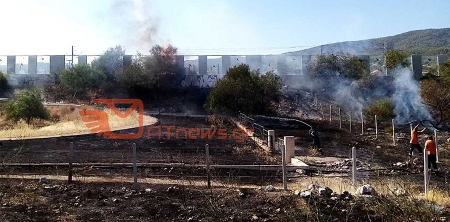 Μπαράζ πυρκαγιών στους Αγίους Θεοδώρους - Διακόπηκαν τα δρομολόγια του προαστιακού (photos - video)