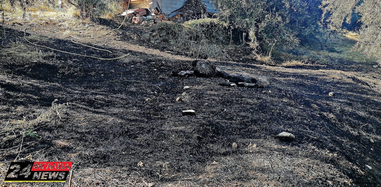 Ν. Φιγαλεία: Πρόστιμο 300 ευρώ για τη φωτιά στα ξερά χόρτα