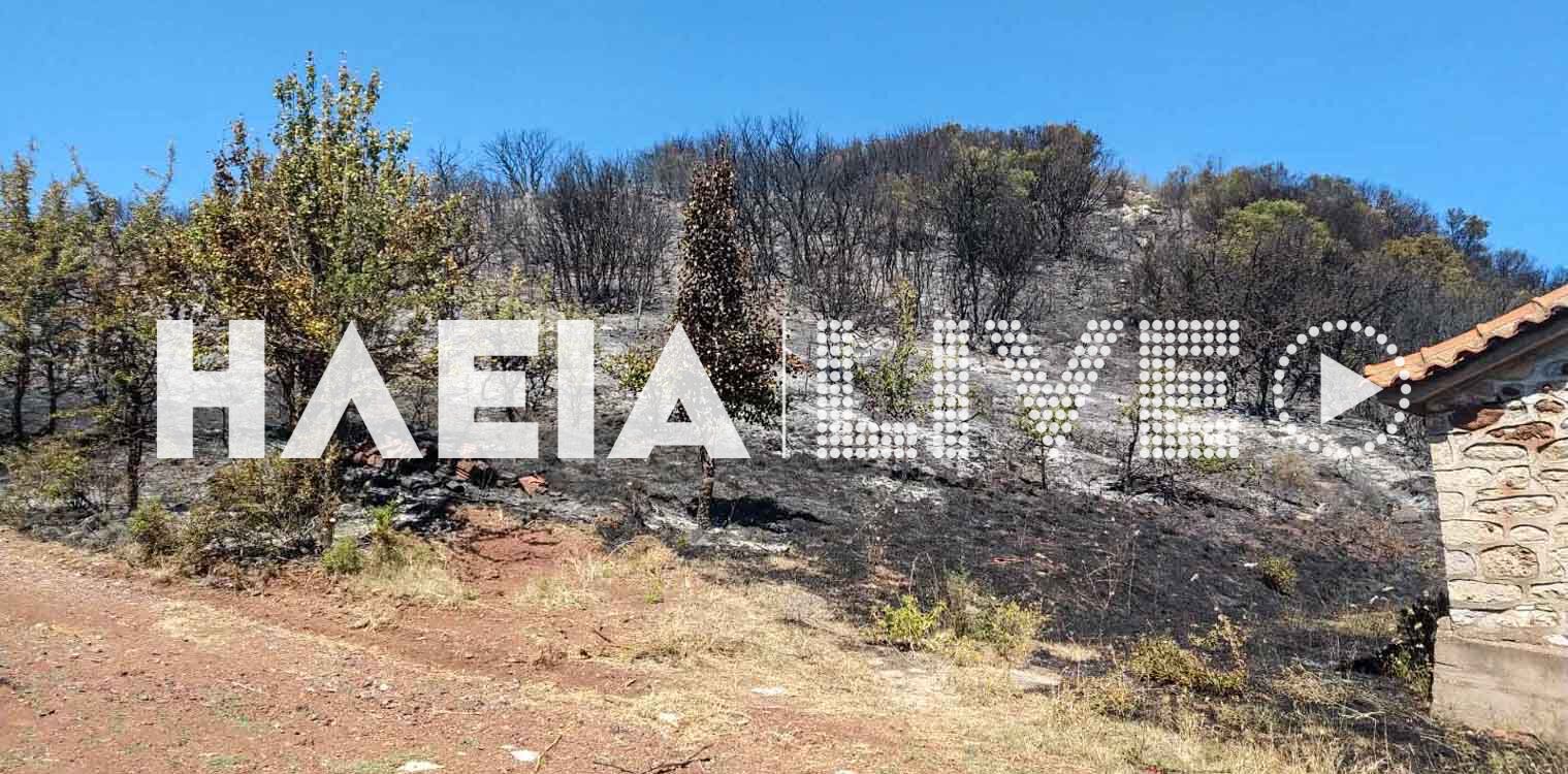 Φιγαλεία: Σβήστηκε η δασική πυρκαγιά - Πρόλαβε η Πυροσβεστική Υπηρεσία