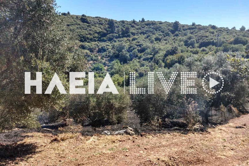 fotia figaleia 2