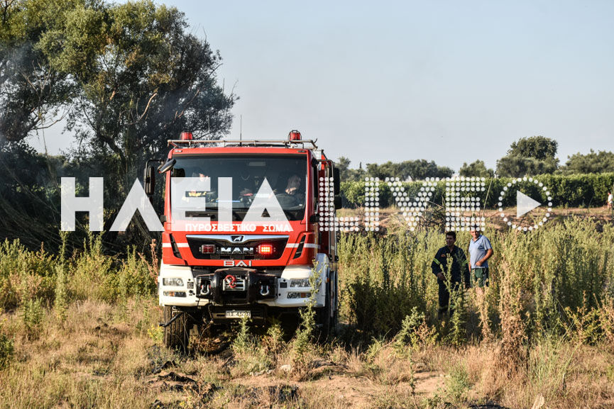fotia manolada 2