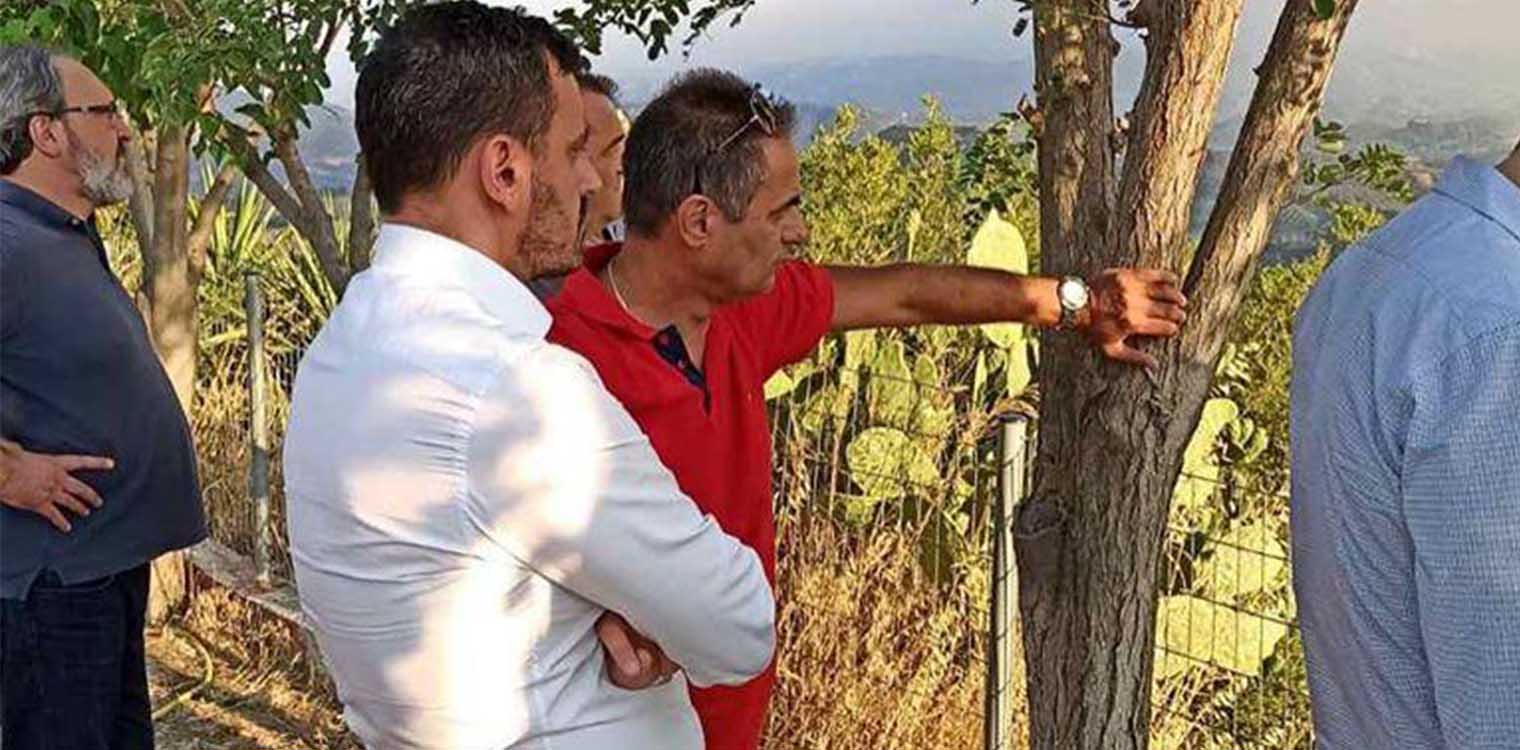 Νικολακόπουλος: Να εκτιμηθεί γρήγορα η δύσκολη κατάσταση από τις πυρκαγιές