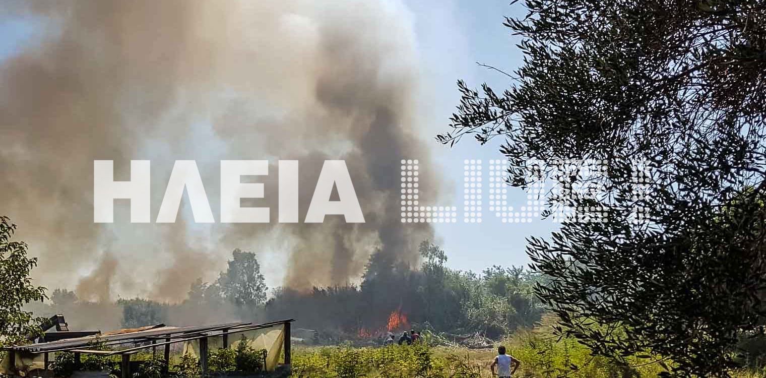 Φωτιά στην Ψίνθο της Ρόδου
