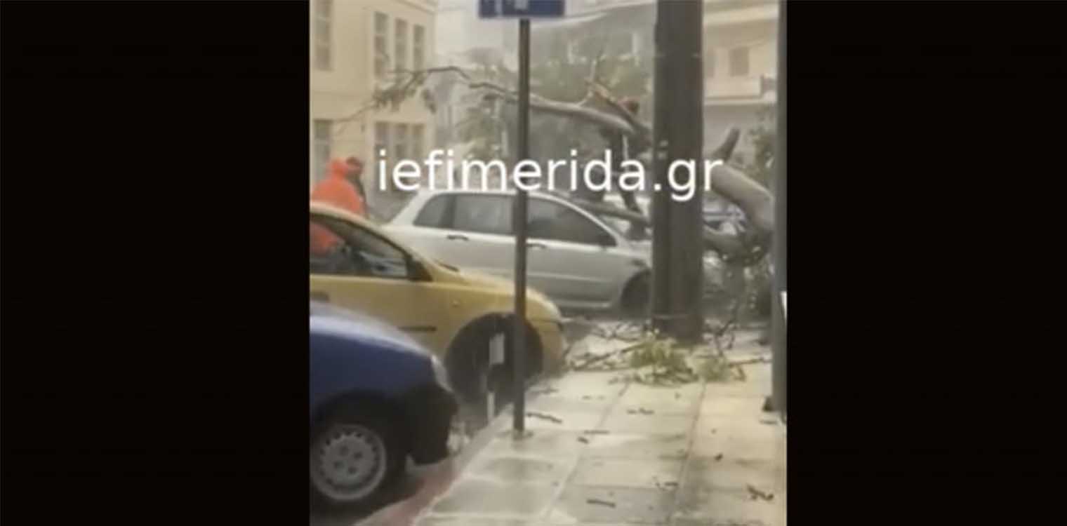 Στην Κέρκυρα... χειμώνιασε: Κακοκαιρία από το πρωί, με βροχή -Δέντρο έπεσε σε αυτοκίνητα (video)