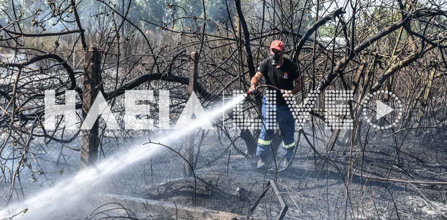 Γαστούνη: Φωτιά στο πρανές της εθνικής απείλησε σπίτια