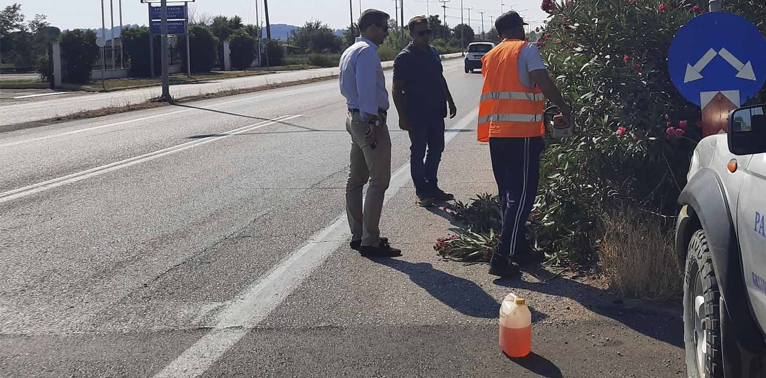 Γιαννόπουλος: Καθαρισμός της Ε.Ο Πύργου – Πατρών, έως την είσοδο του Πύργου