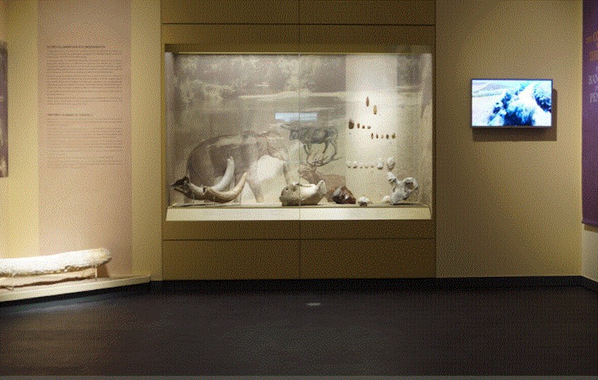 palaiolith3