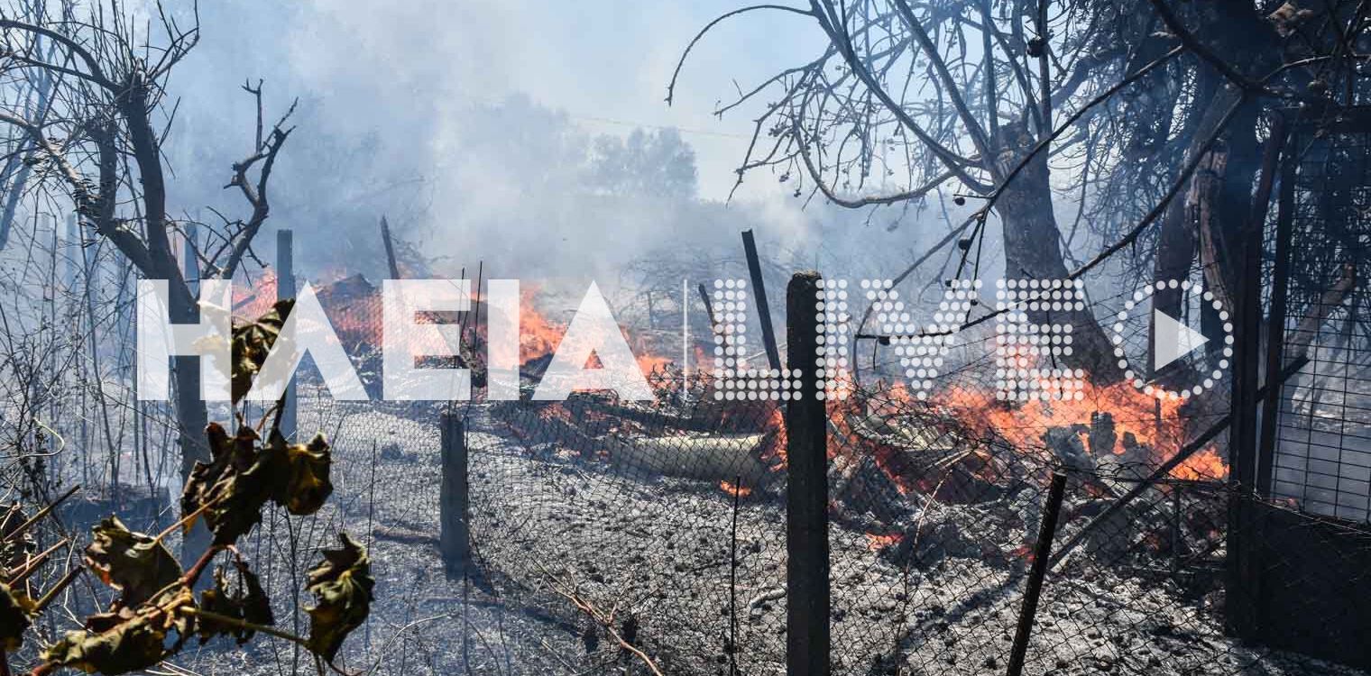 Πύργος: Πυρκαγιά κοντά σε σπίτια στην περιοχή της Κεραίας - Τρόμαξε η γειτονιά από τις φλόγες