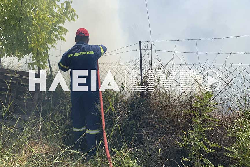 fotia kerea2