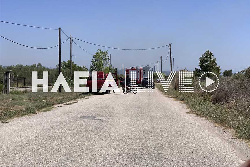 fotia kerea3