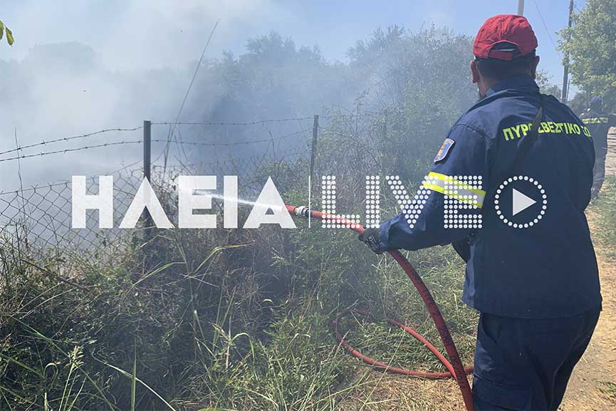fotia kerea4