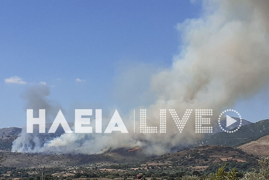 fotia lasiona 2 2