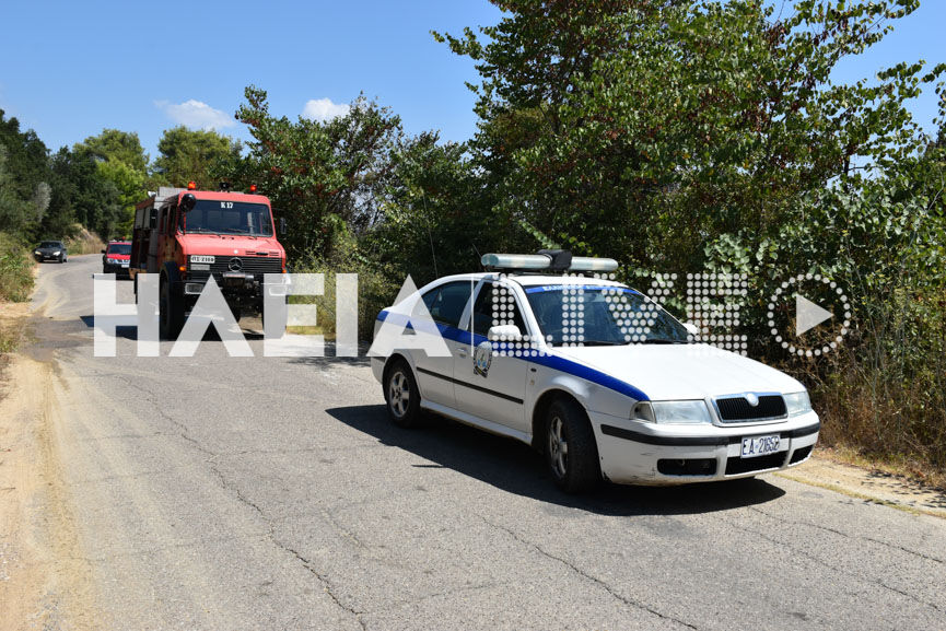 fotia samiko 3