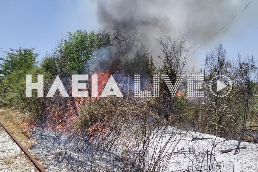 fotia settil 3