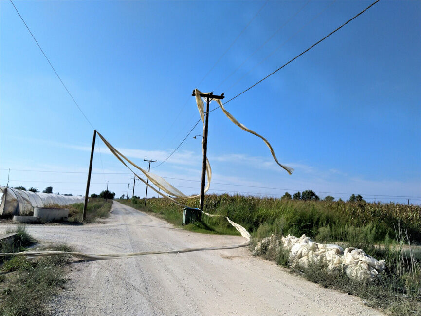 mirsini2