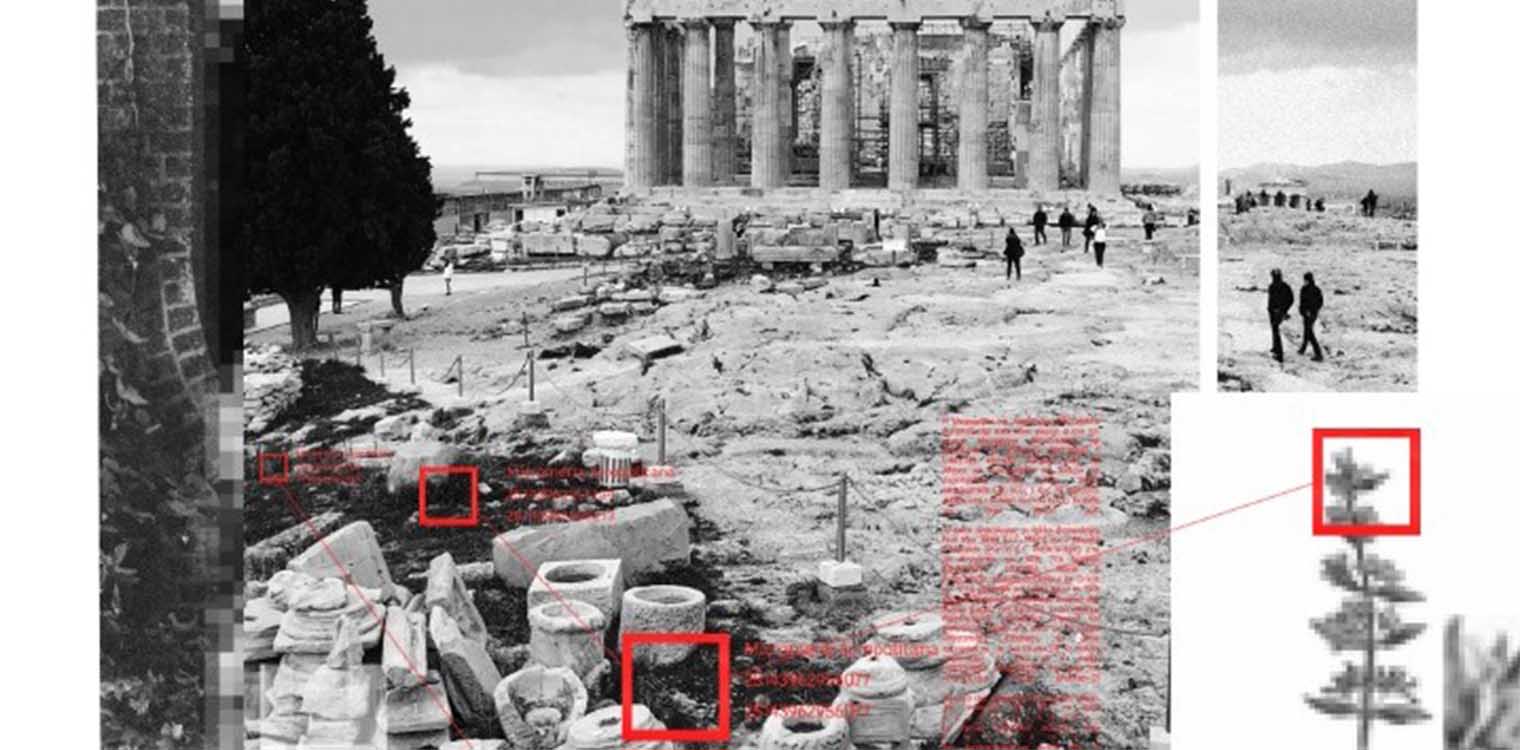 O «Κήπος Δεδομένων» της Κυριακής Γονή στο onassis.org