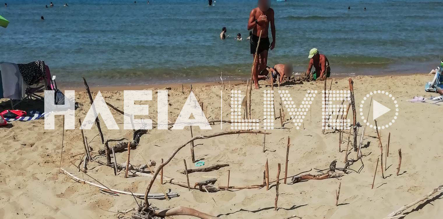 Νέα φωλιά caretta - caretta στα Λουτρά Κυλλήνης
