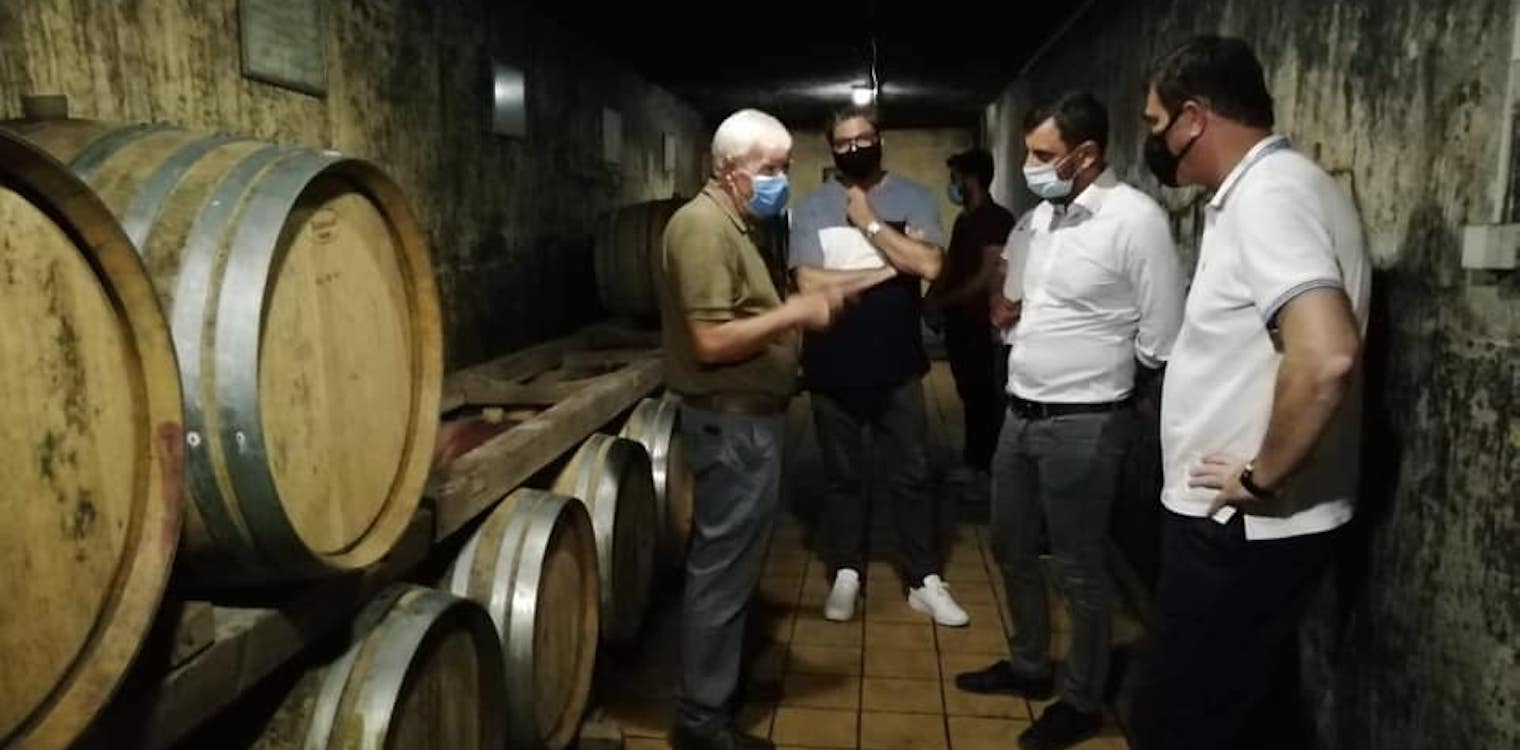 Αναγκαία η ενίσχυση των οινοποιιών της Ηλείας