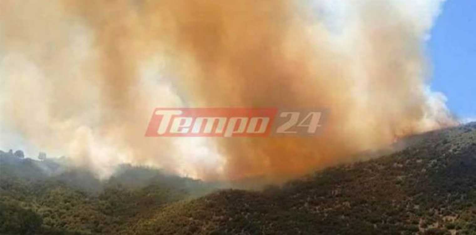 Αχαΐα: Προσαγωγή ατόμου για την πυρκαγιά στον Μικρό Ποντιά - Τέθηκε υπό έλεγχο (photos)