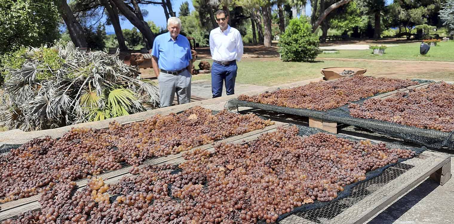 Επίσκεψη Γιαννόπουλου στο Κτήμα «ΜΕΡΚΟΥΡΗ»