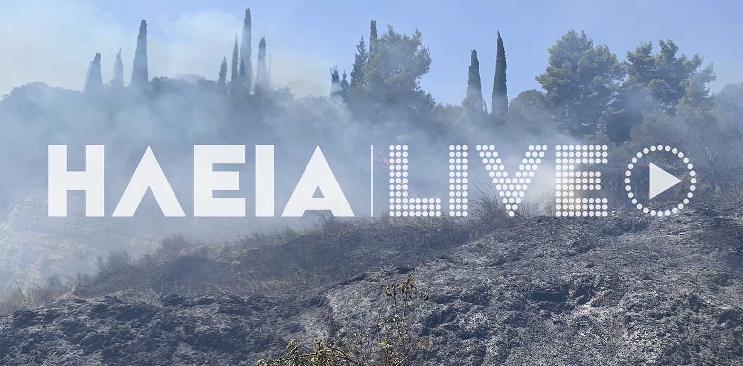 Ηλεία: Σβήστηκε η πυρκαγιά στα Χανάκια (photos &amp; video)