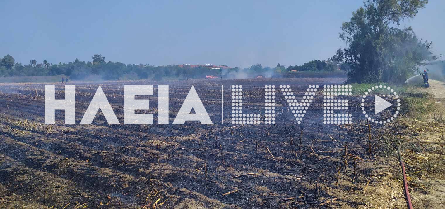 Λεχαινά: Κινητοποίηση για πυρκαγιά σε θερισμένο αγροτεμάχιο