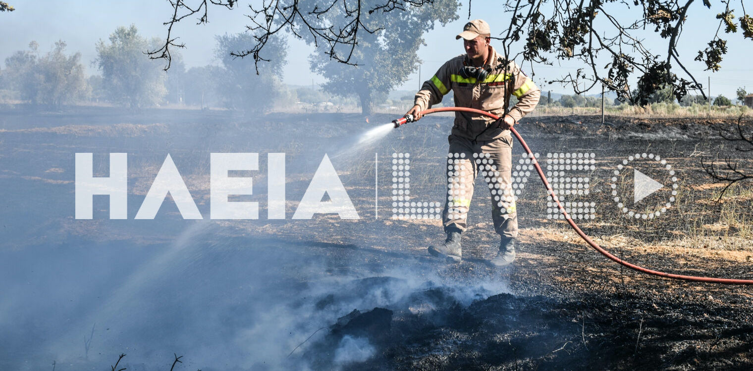 Ηλεία: Κατασβέστηκε η πυρκαγιά στο Σώστι - Ευτυχώς χωρίς σημαντικές ζημιές