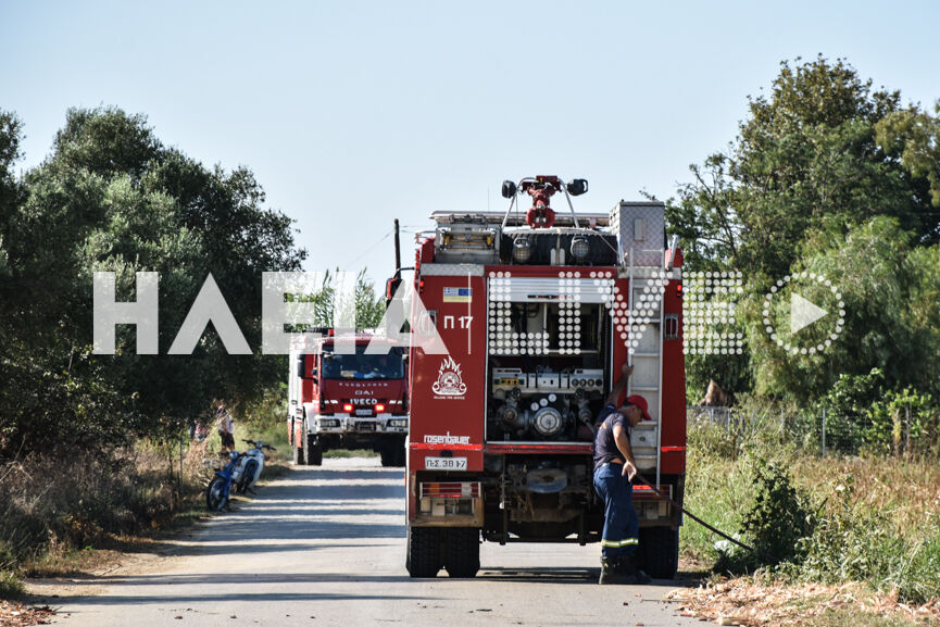 fotia dimitra 3