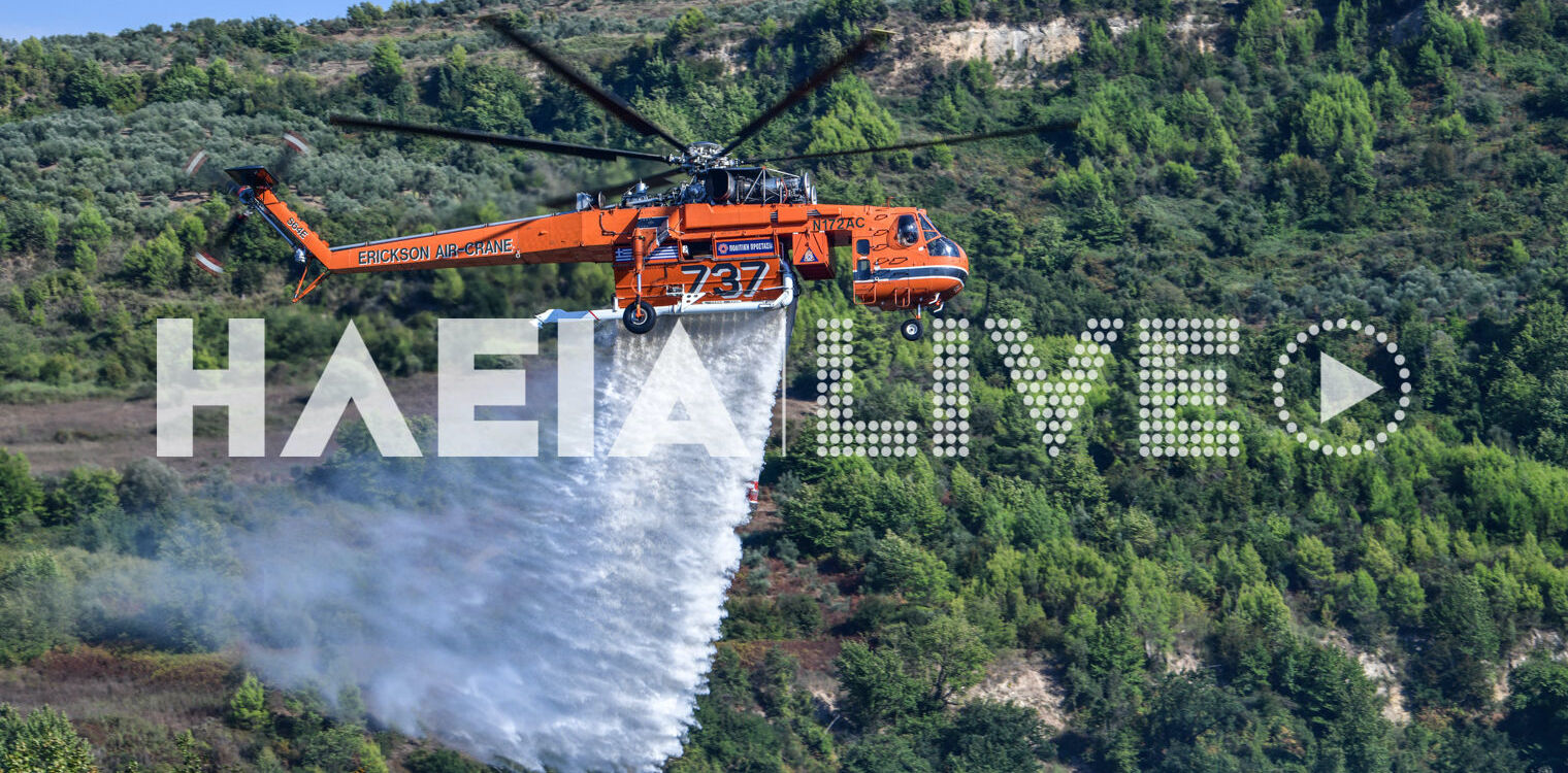 Τρυπητή Κρεστένων: Σβήστηκε η πυρκαγιά σε αγροτοδασική έκταση (photos)