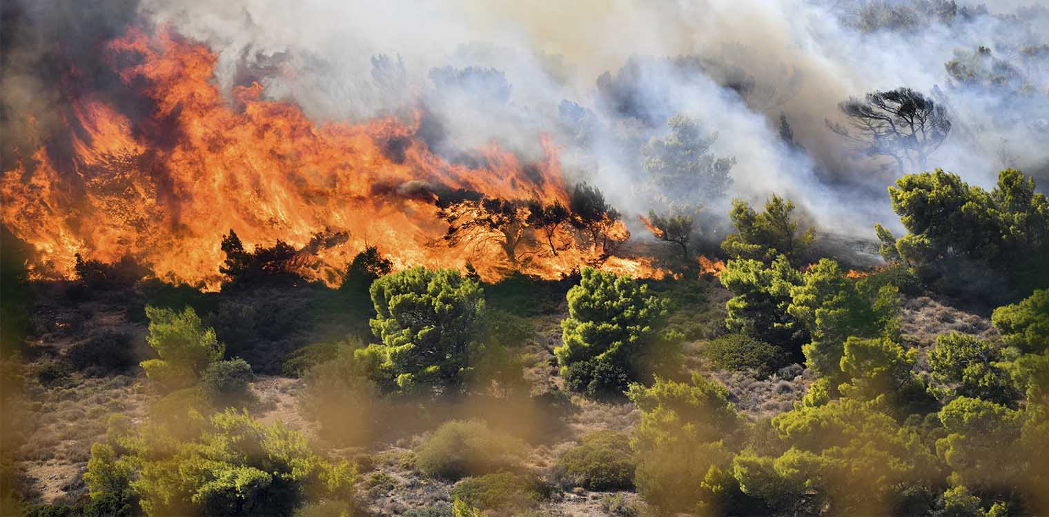 Φωτιά στην Κερατέα: Βελτιωμένη η εικόνα - Ερευνάται το ενδεχόμενο εμπρησμού