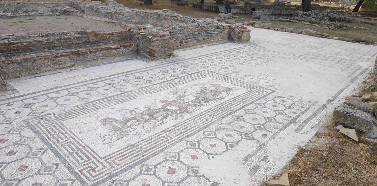 psifidoto arxaio