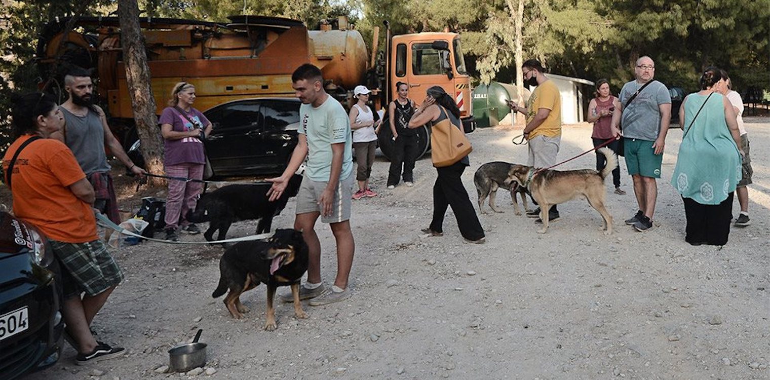 Φωτιά στον Βύρωνα: Απειλήθηκε το καταφύγιο αδέσποτων ζώων