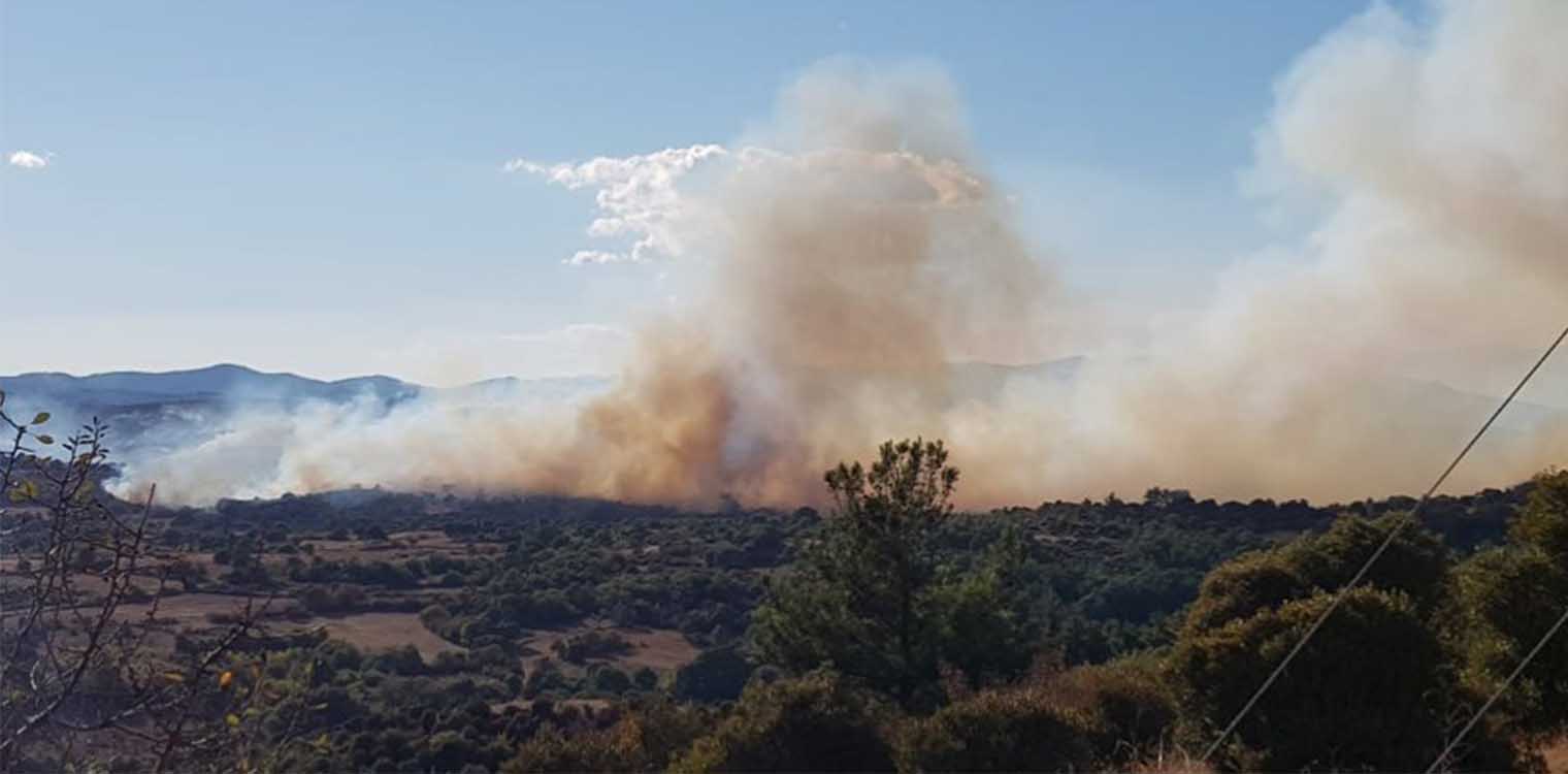 Δυο φωτιές στον Έβρο - Δείτε βίντεο και φωτογραφίες