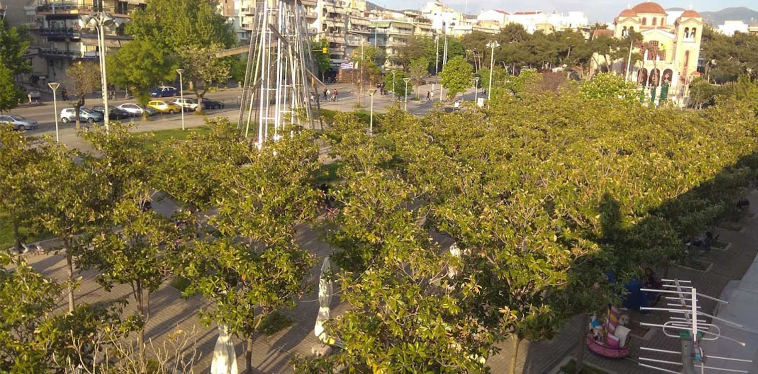 Μανόλιες, φλαμουριές, σοφόρες και πλατάνια κατά της ατμοσφαιρικής ρύπανσης