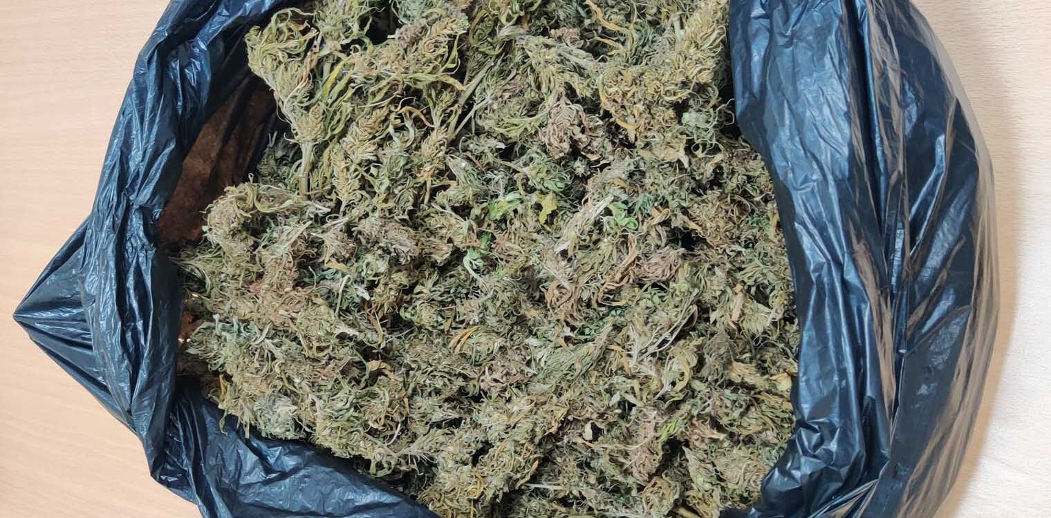 Βροχίτσα: 68χρονος συνελήφθη με 53 δενδρύλλια χασίς και 1200 γραμ.