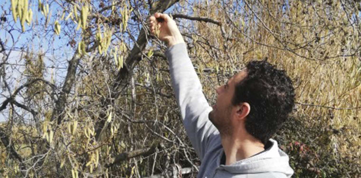 Φορέας διαχείρισης Στροφυλιάς: Ολοκληρώθηκαν σημαντικές δράσεις διαχείρισης ειδών και οικοτόπων