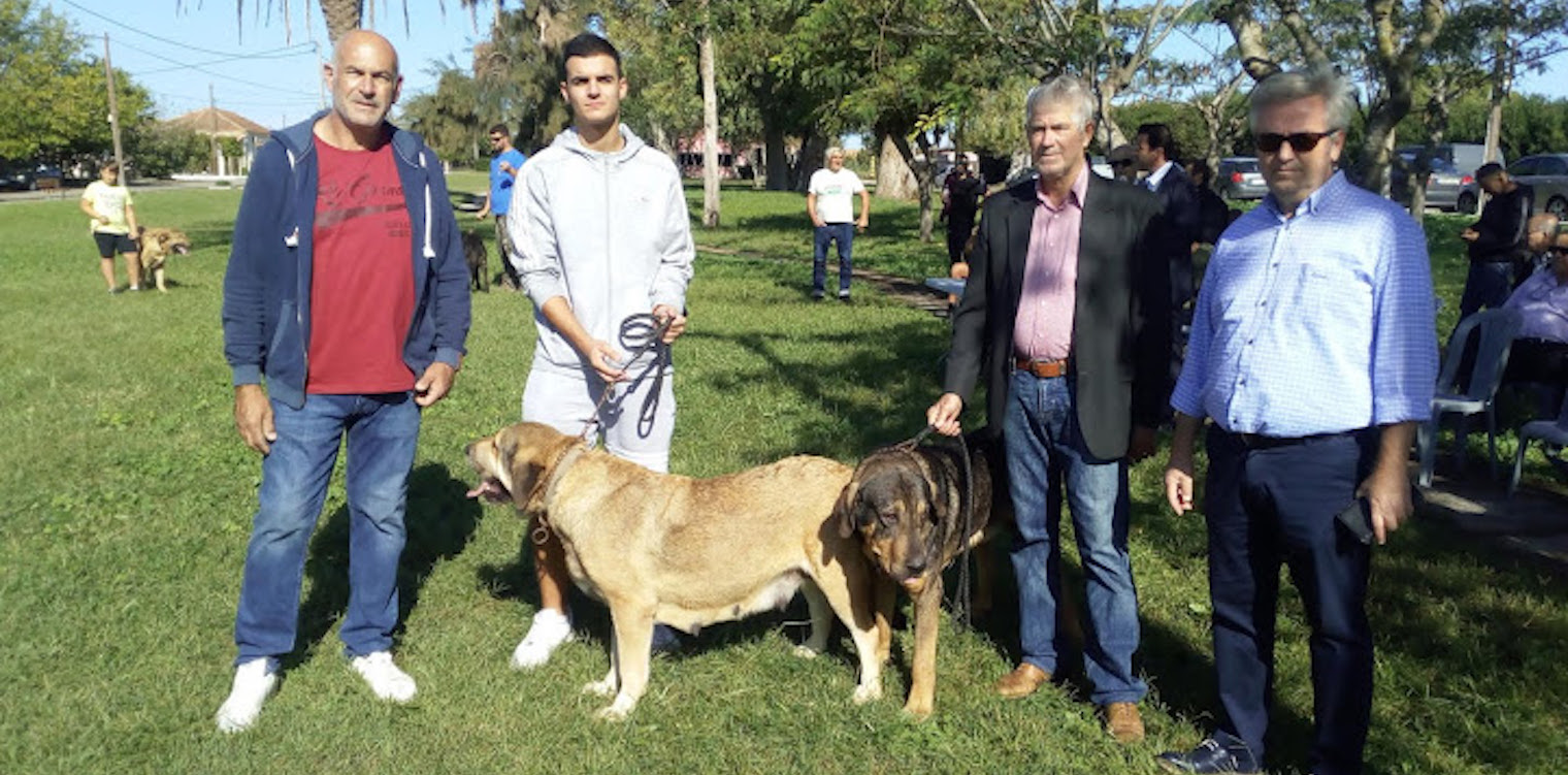 Κυνοφιλική εκδήλωση στο Βαρθολομιό για τον μολοσσό Ηπείρου