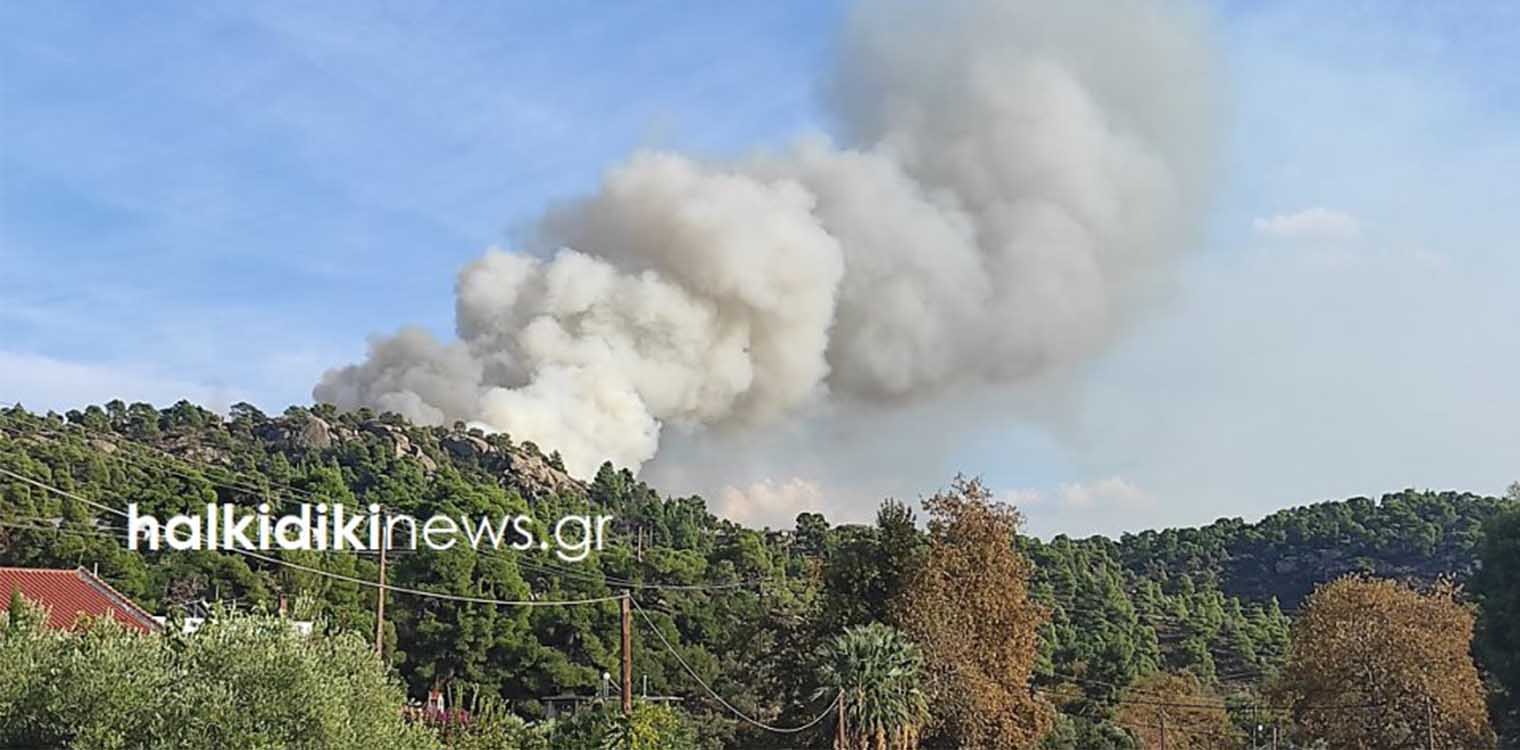 Χωρίς ενεργά μέτωπα η φωτιά σε πευκοδάσος στη Χαλκιδική (upd)