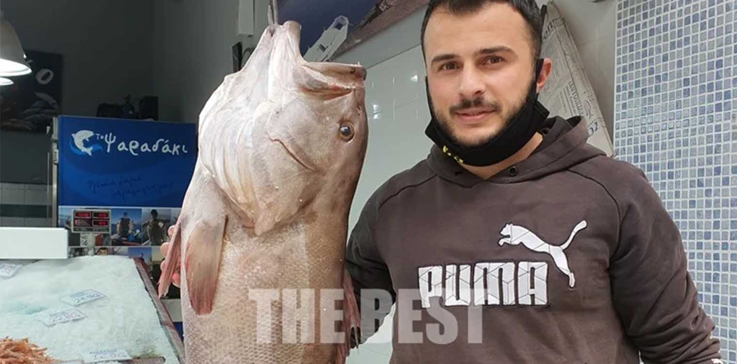 Μια τεράστια σφυρίδα, σε ιχθυοπωλείο της Πάτρας - Αγοράστηκε προς 350 ευρώ (photo)