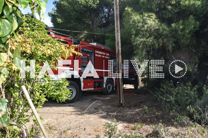 fotia agridi 11