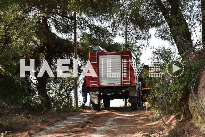 fotia agridi 9