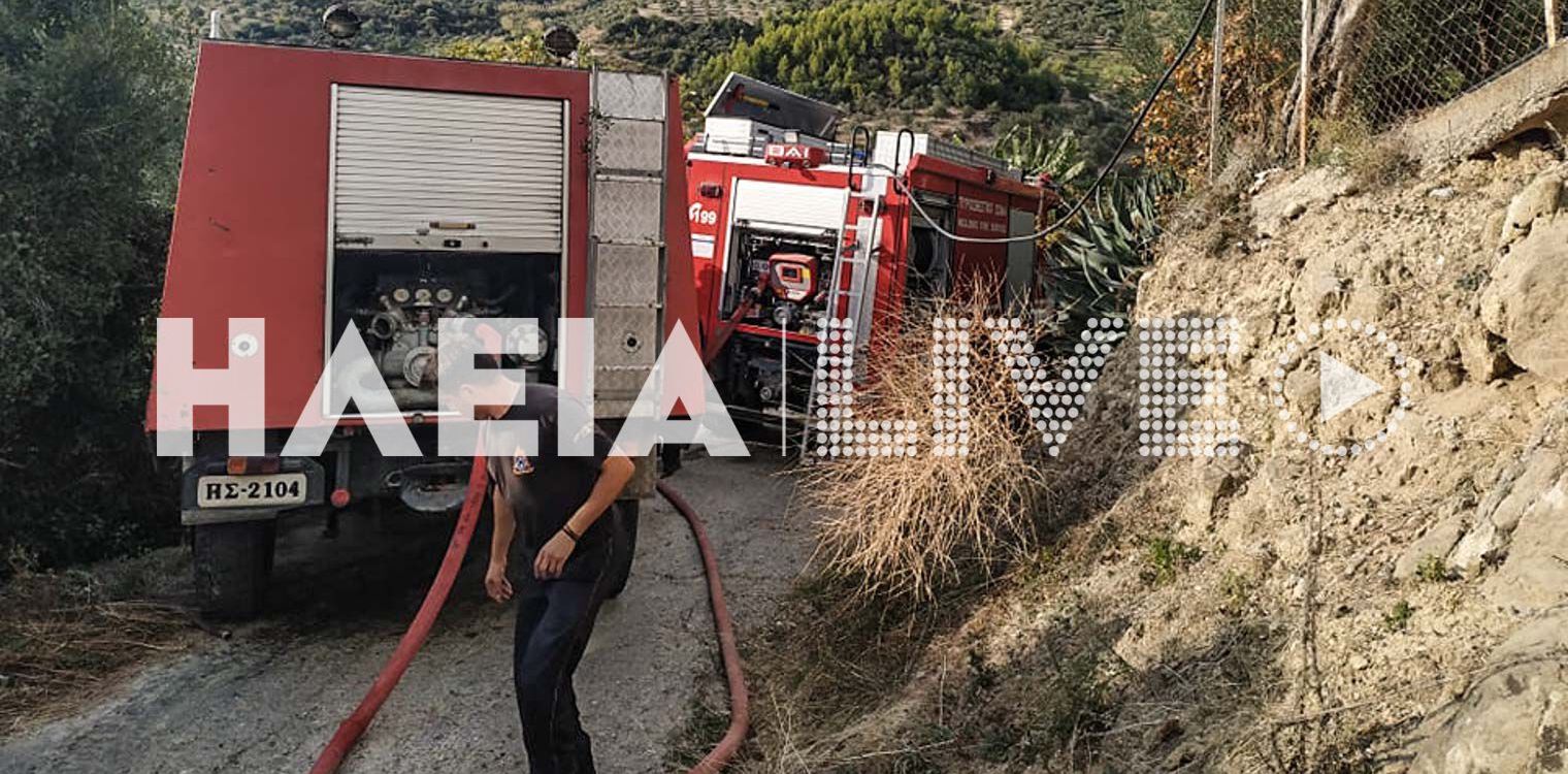 Ηλεία: Μπαράζ πυρκαγιών - Νέα περιστατικά σε Ξηροχώρι - Μακρίσια