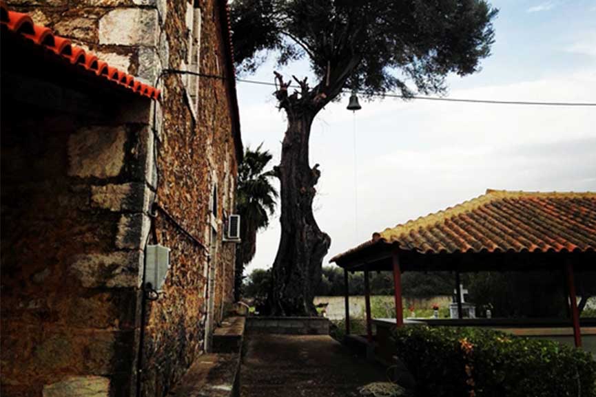 kampanario koimitirio