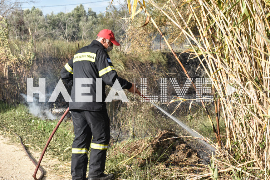 fotia murtia 4