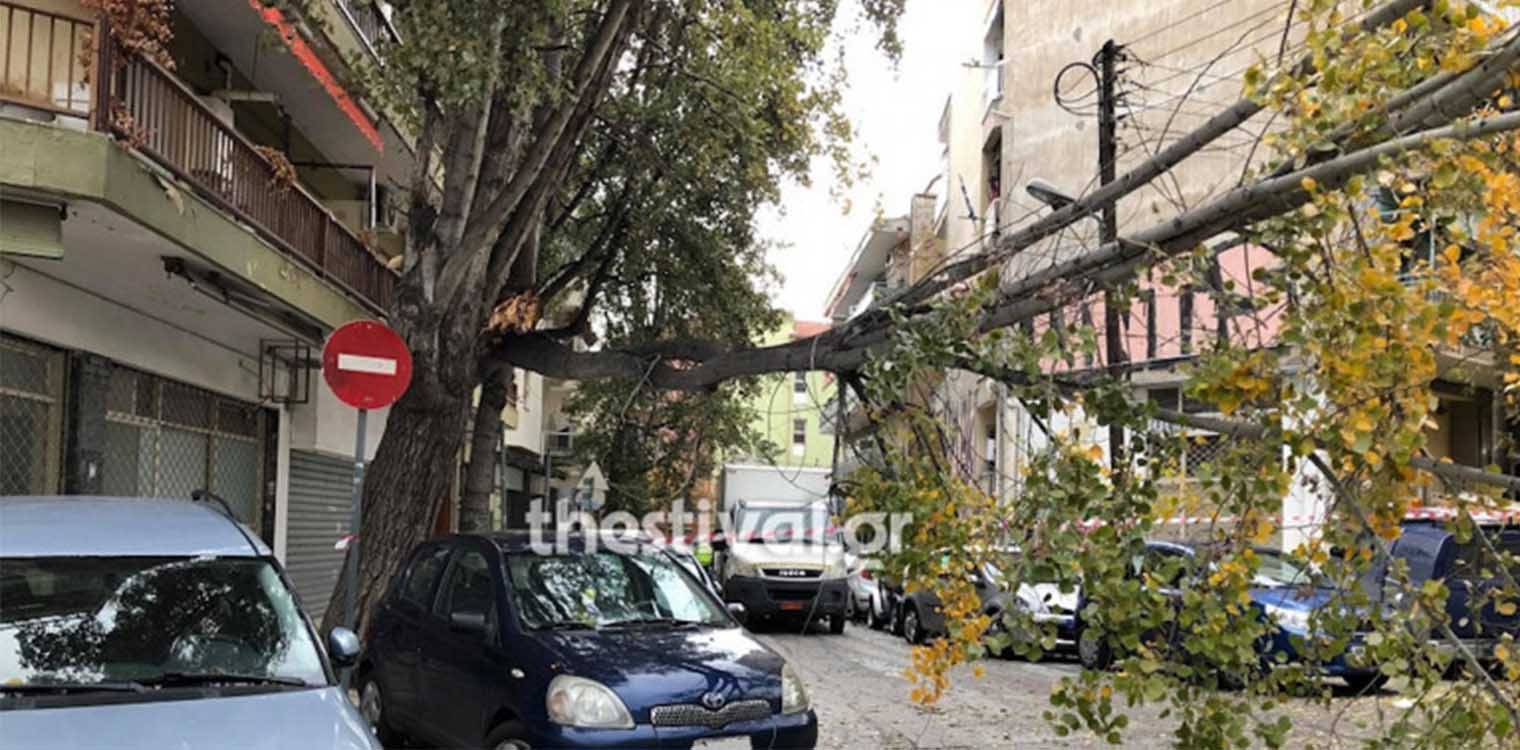 Καιρός: Προβλήματα στη Θεσσαλονίκη, έπεσαν δέντρα -Πλημμύρισαν σπίτια σε Ημαθία, Πιερία