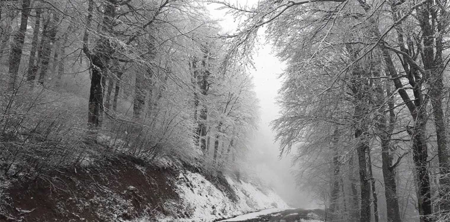 Τα πρώτα χιόνια στην Ορεινή Ναυπακτία (photos)