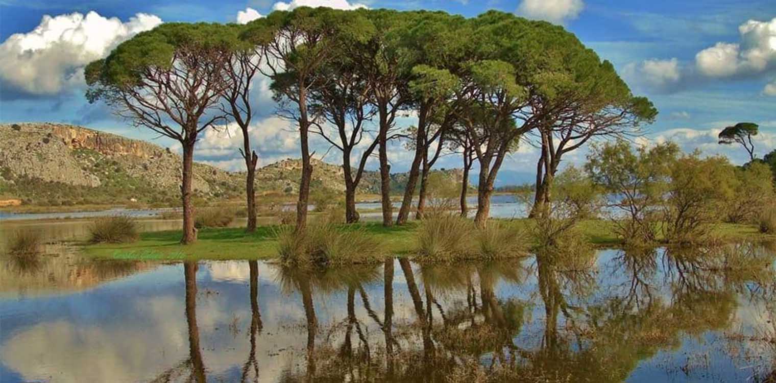 Οικολογική Δυτ. Ελλάδα: Η Περιφέρεια «εξαφανίζει» τους θεσμούς προστασίας της φύσης