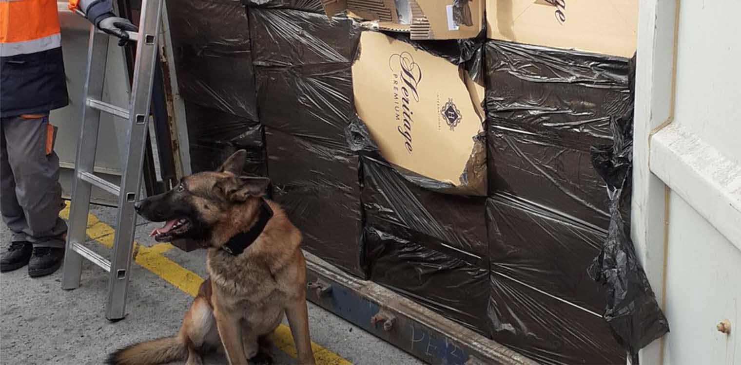 Διεθνές κύκλωμα λαθραίων τσιγάρων εντόπισε η ΑΑΔΕ