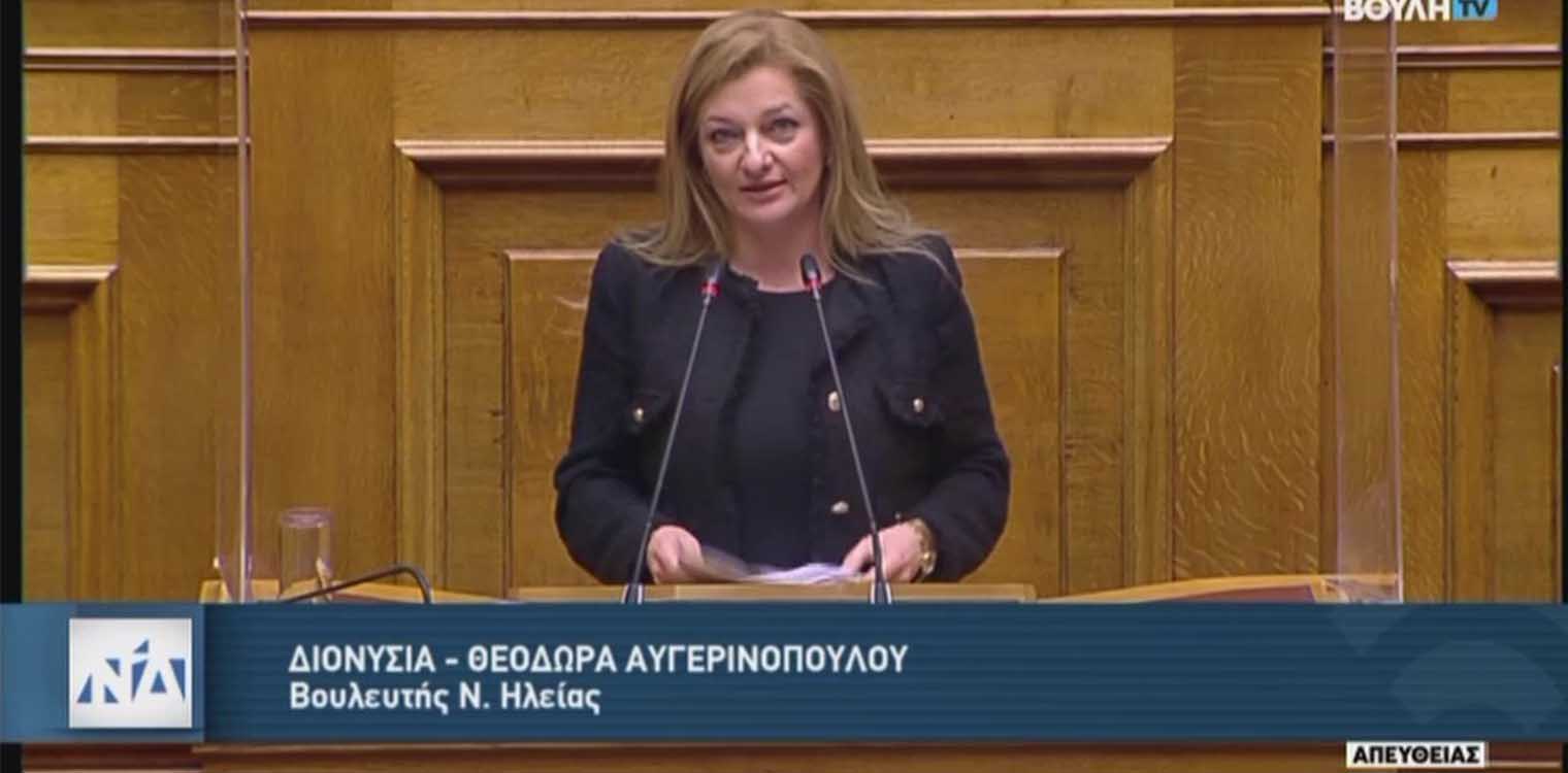 Ομιλία Αυγερινοπούλου στην Ολομέλεια της Βουλής για το Κρατικό Προϋπολογισμό του 2021